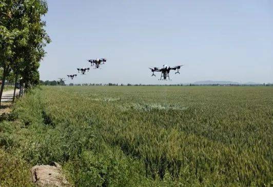 人保财险深圳分公司被罚：未按规定使用经批准的