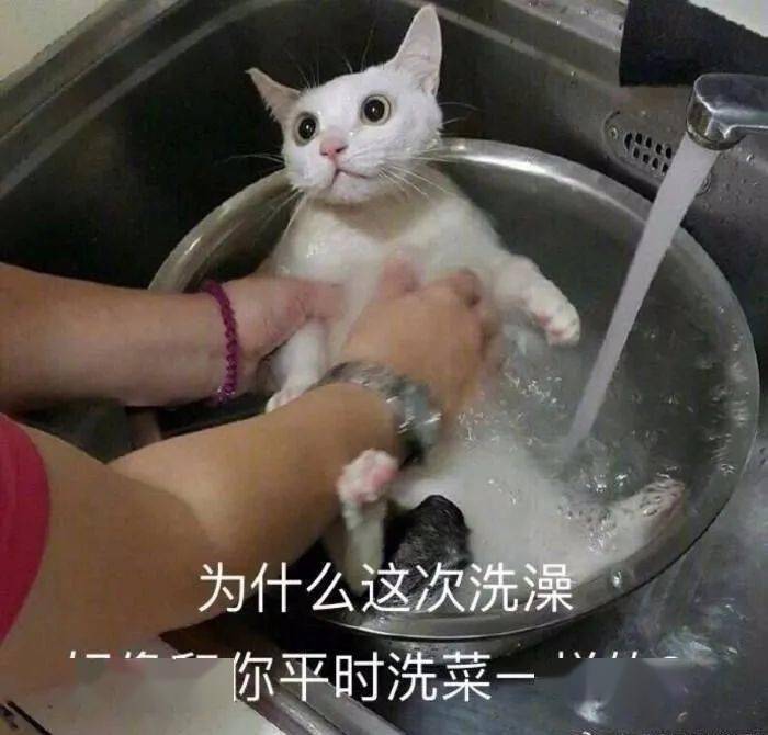 e84969ce56bd494fb5aebd46cd740c90.jpeg