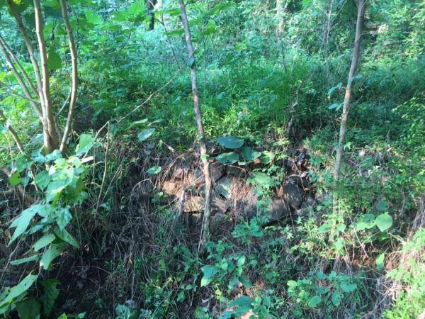 天台县|浙江一地惊现一处古墓！背后故事太震撼