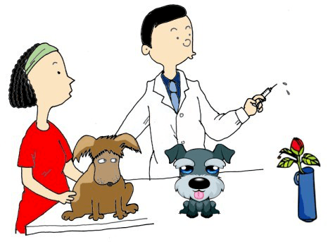 世界狂犬病日 | 终结狂犬病:协作,接种疫苗