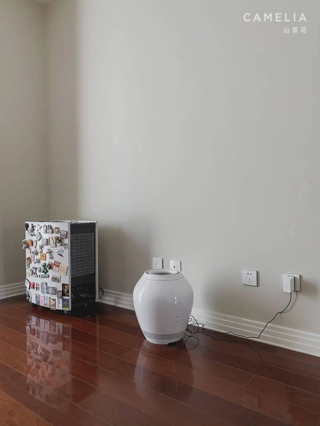 选择了|Moxin｜来啦 分享一期新家的 Roomtour