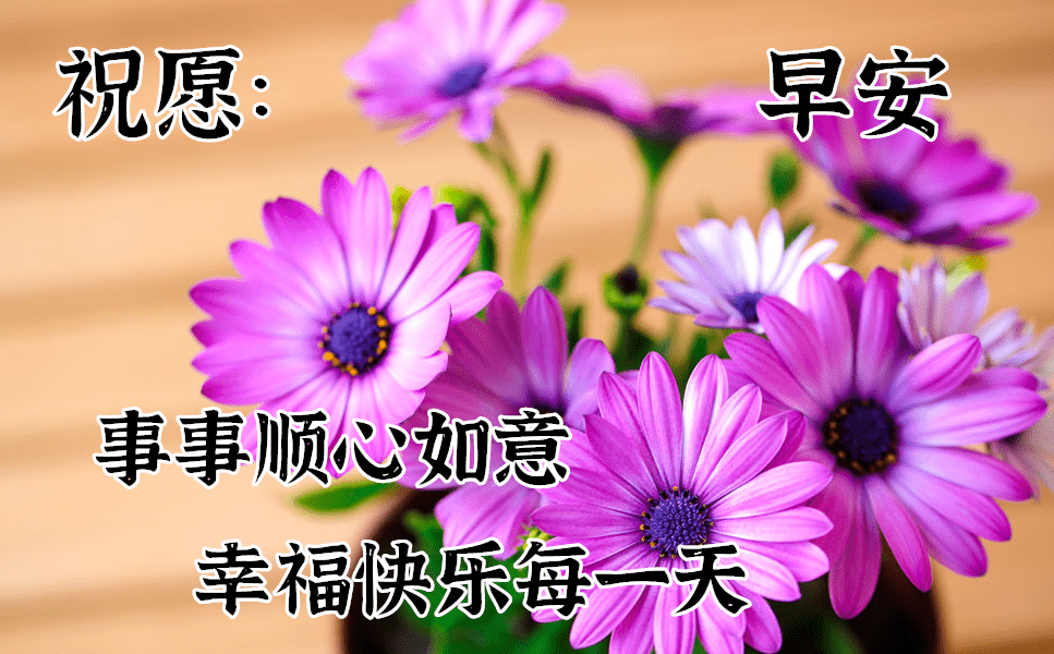 b3ad87520eea4adcb2de2b488550e737.png