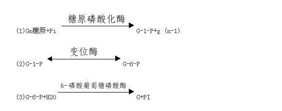 【生物可恋】肝糖原与肌糖原在人体内的转化_手机搜狐网