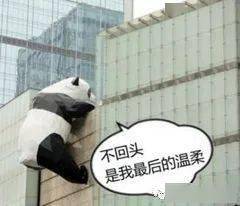 实锤|郑爽张翰复合了?实锤来了!!