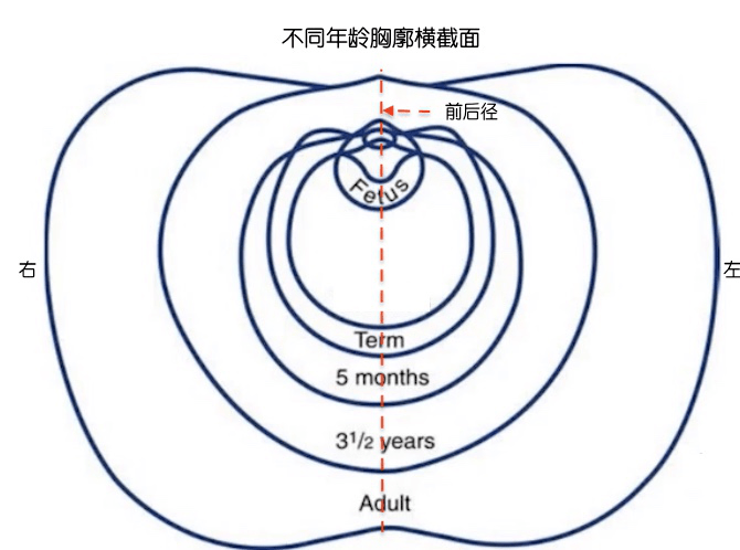 宝宝肋骨外翻就是佝偻病?