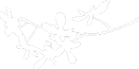 7eb9b921cc9240e08c066b1e42c6edc0.png