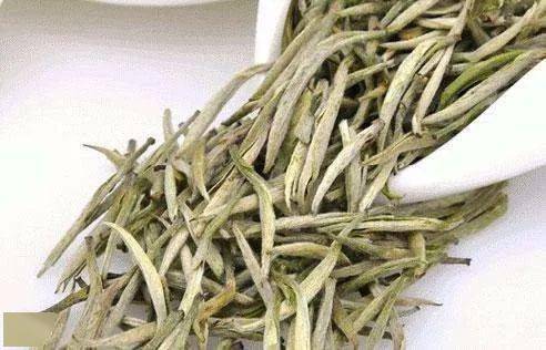 不知道|我告诉你不知道自己适合喝哪种茶