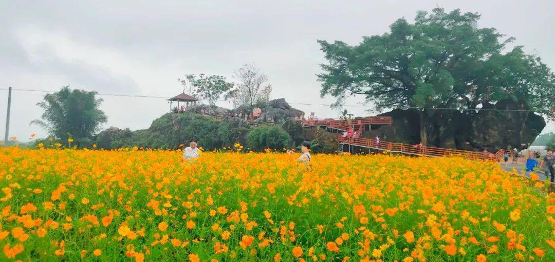 "无泥砖房村小组"廊田镇马屋村白马寨作为今年丰收节的"乐昌主阵地"廊