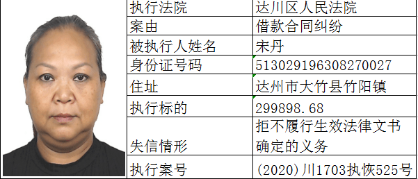 达州市2020年人口普查数据_人口普查数据图