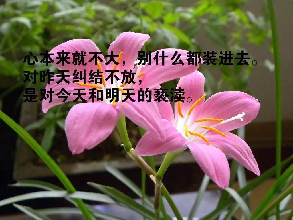 ddce14d7b0a2401f84735080dfadc03e.jpeg