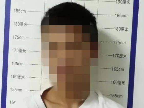 甲东人口_人口老龄化