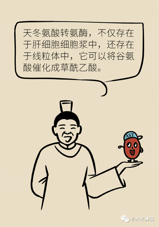 转氨酶|肝功转氨酶高就是肝硬化？未必！这几个指标才是重点