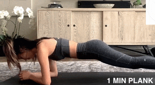 3dadbdf8b8aa48a4bb4e684757620dcb.gif