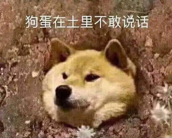 67880704d8314d39aaab428b5df19f4f.jpeg