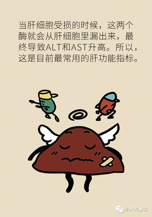 转氨酶|肝功转氨酶高就是肝硬化？未必！这几个指标才是重点