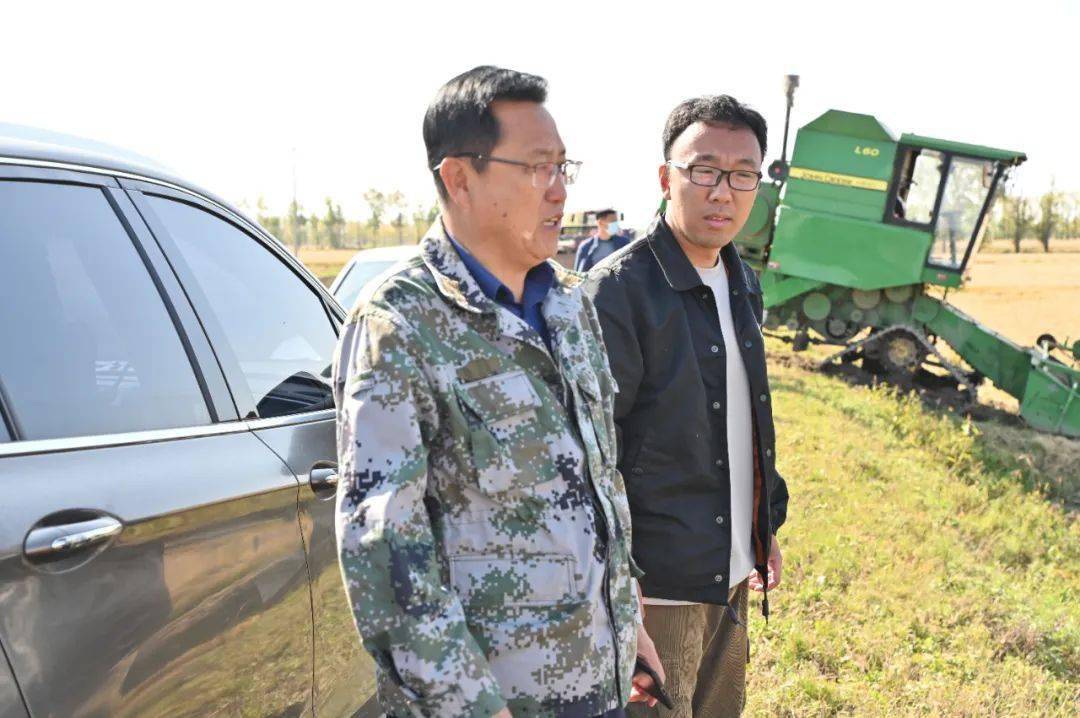 双节同庆丨江川农场有限公司割晒拾禾环环相扣保粮夺丰收