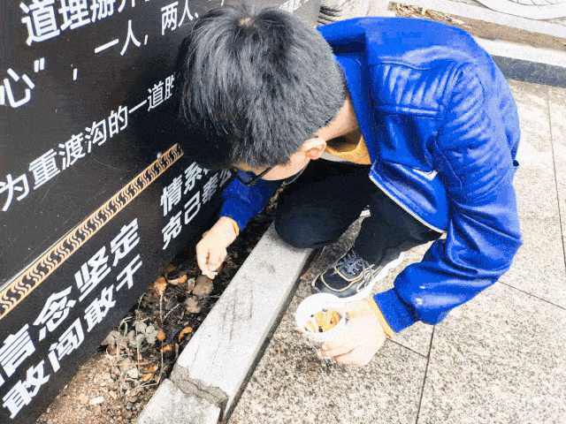 54799a6117244e89b0bc10ab1ab507e9.gif