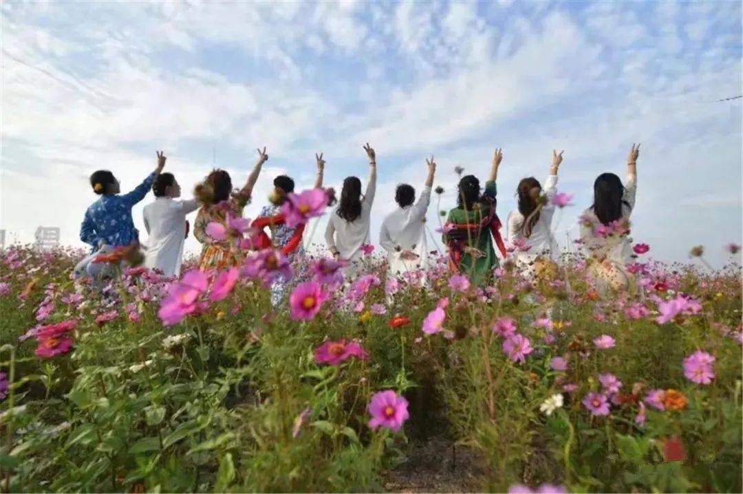 龙口看西南,花海云天!