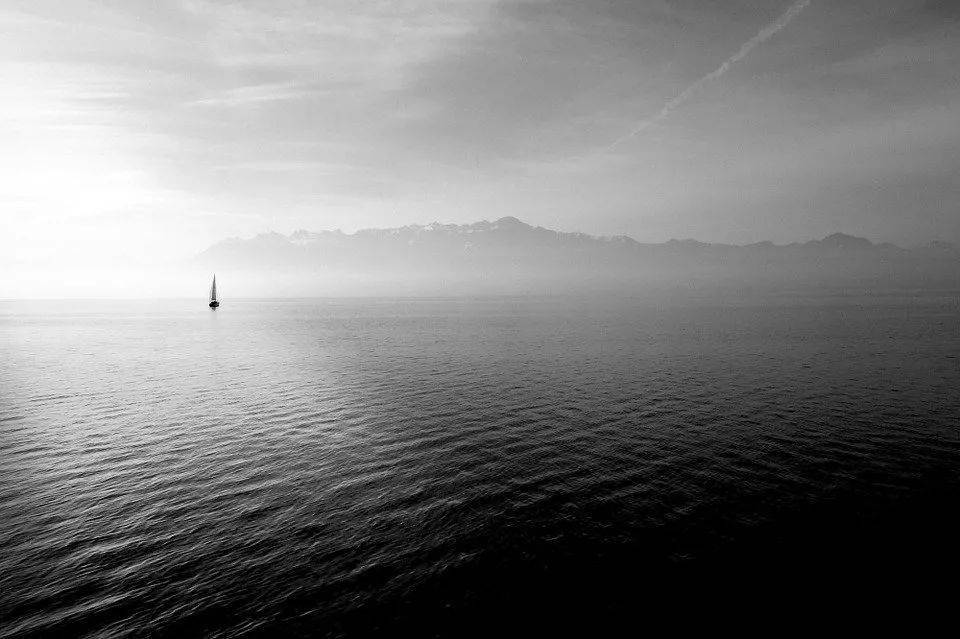 fbec033356d04dc3a4470158687e6e17.jpeg