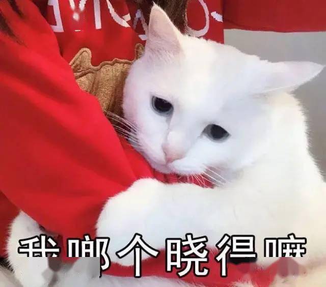 表情包图片 | 开心最重要