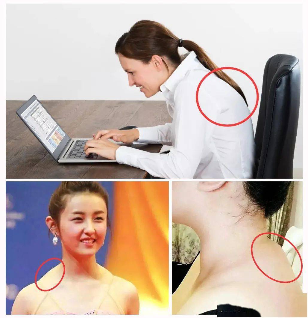 矫姿|好体态，胜过好容颜丨好物