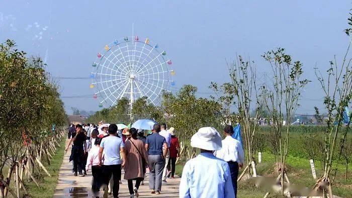 【走向我们的小康生活】望江漳湖民族风情园揭牌试运行