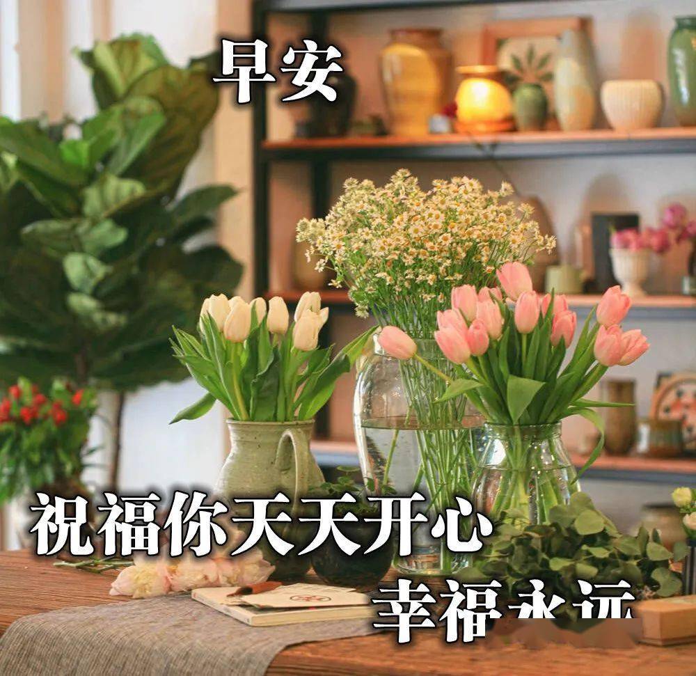 鲜花早上好美图大全,很美的早安图片,早安发朋友圈短语
