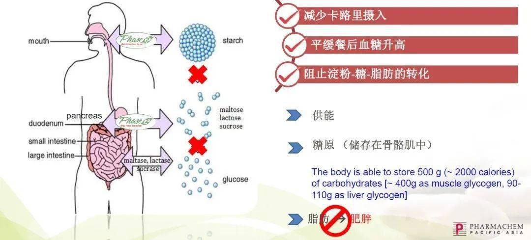 身材|真实亲测｜迪丽热巴的这个身材管理秘籍，让她4天瘦了10斤！