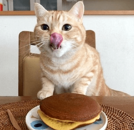 3510194821d2406e8b5b44bb22f46fd0.png