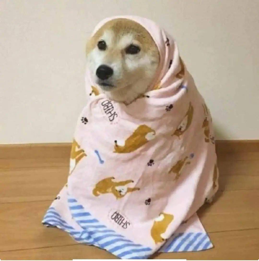不自觉的裹裹衣服