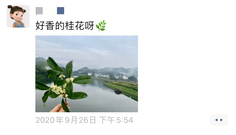 桂花飘香二胡曲谱_桂花飘香图片(3)