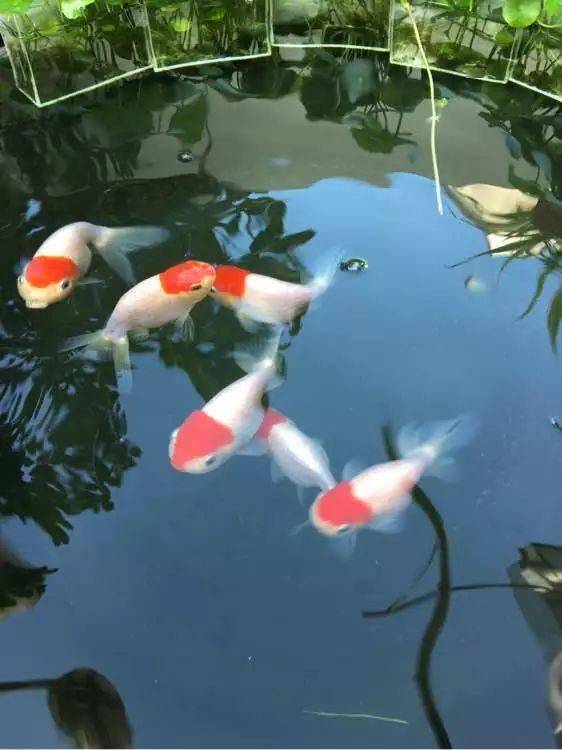 f9d6e3309b844636813037eaaec27a10.jpeg