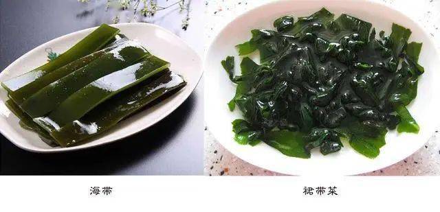 什么是海带苗 0bbdc93604454829b2bcd77c4e8c0e3e.jpeg