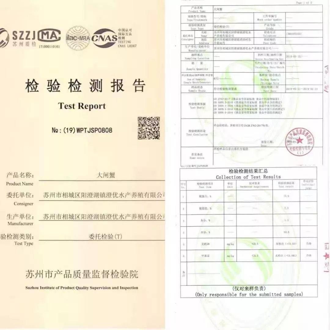 阳澄湖|什么是好吃的大闸蟹！咬一口“biu~”爆膏流黄15年老蟹农告诉你