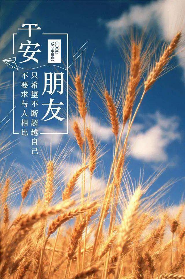 每日分享励志图片 76a42e7bddde467693ef7b43b89a36f9.jpeg