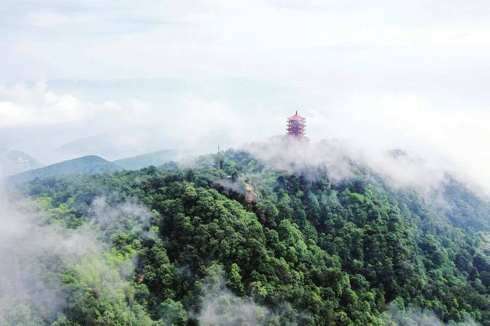 缙云山从北到南有朝日峰,香炉峰,狮子峰,聚云峰,猿啸峰,莲花峰,宝塔峰