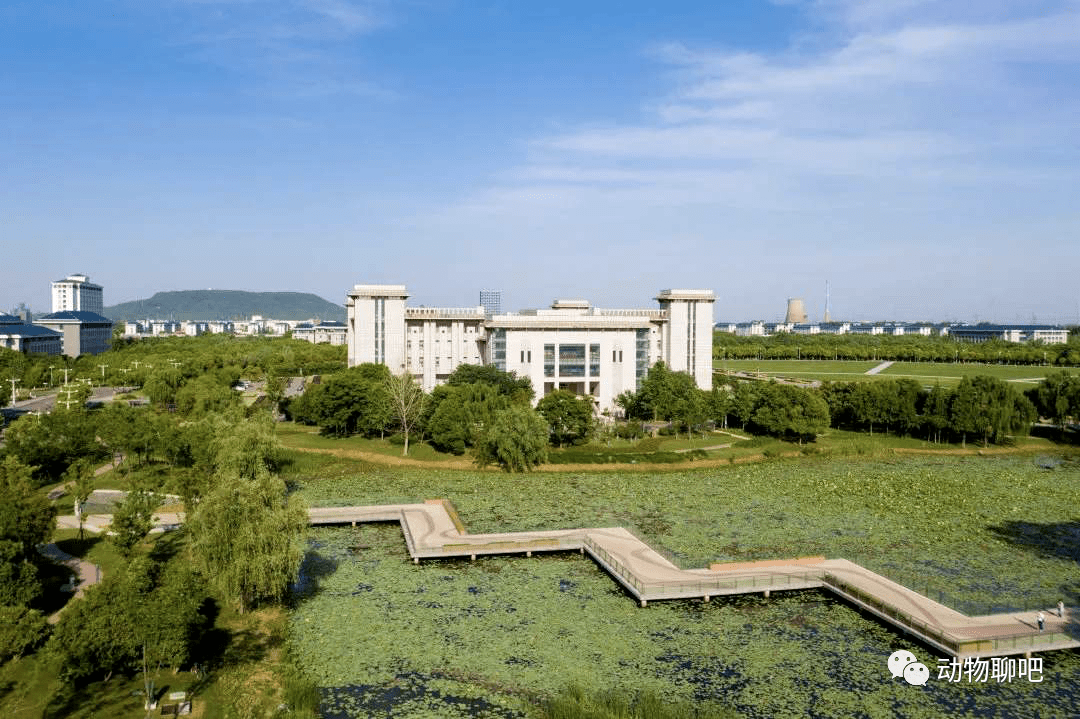 2020年建筑老八校排名_建筑老八校,江苏第二高校,东南大学2020年录取分数线