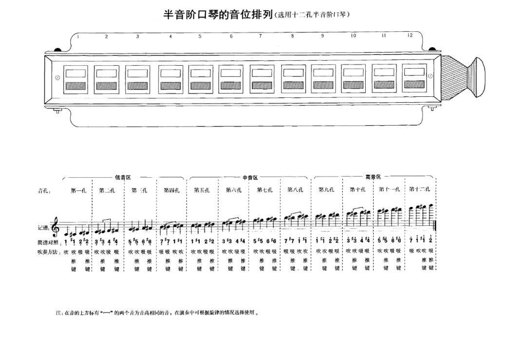 「新爱琴·从零学半音阶口琴」34 玫瑰玫瑰我爱你