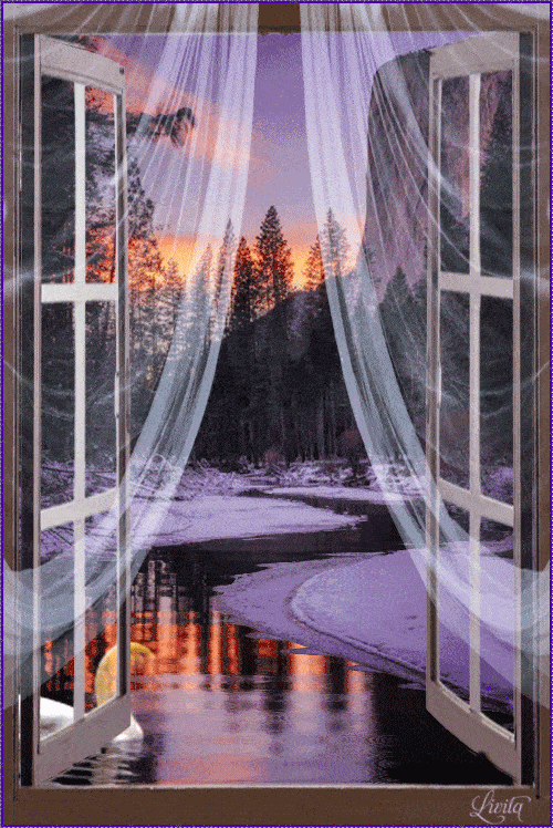 500_748 竖版 竖屏