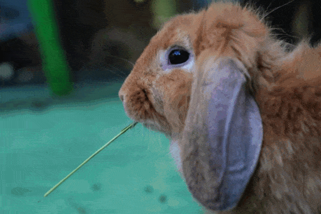 不知道你pick哪一个呢?