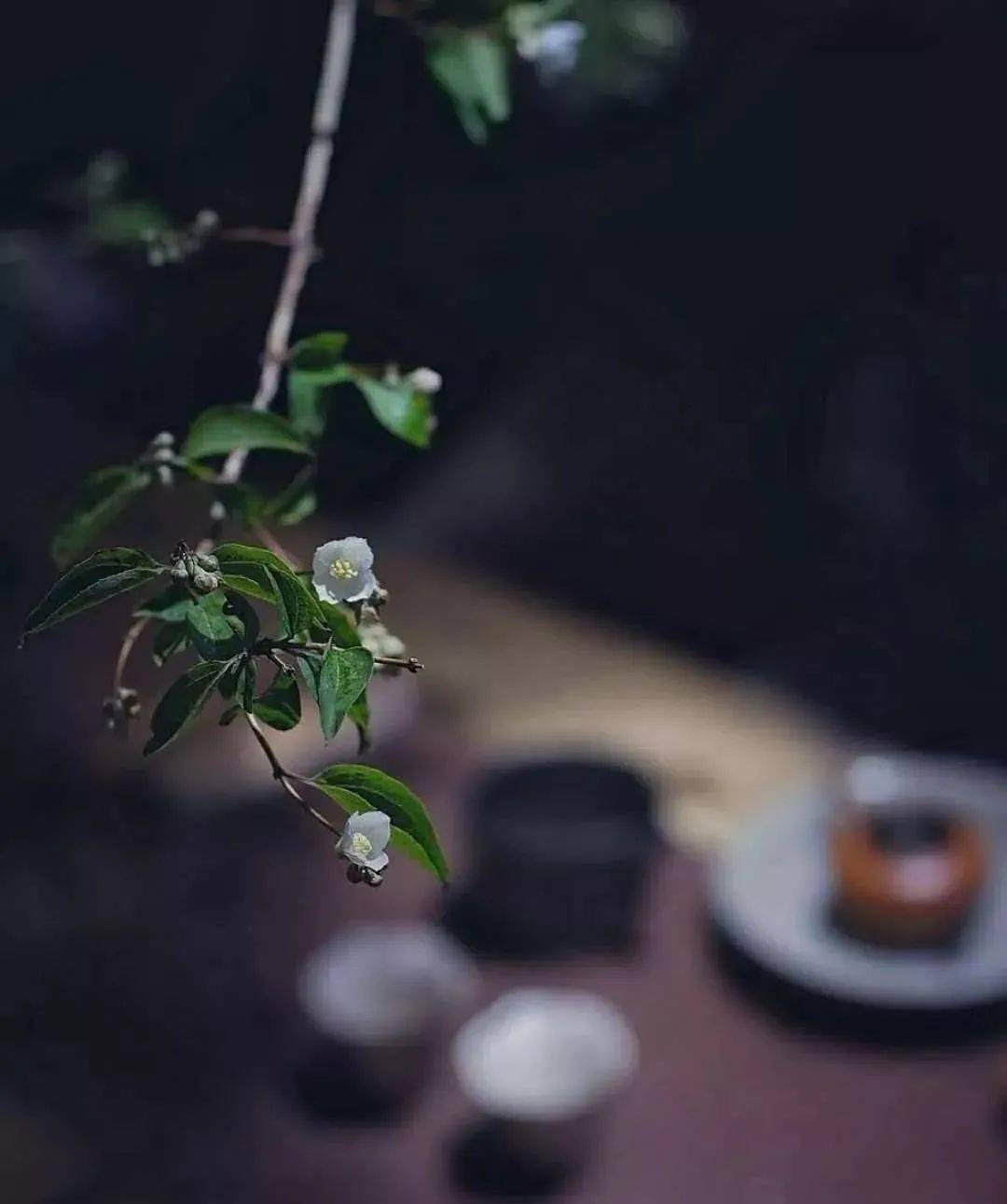 普洱|喝这些茶补水润肺!秋冬之际