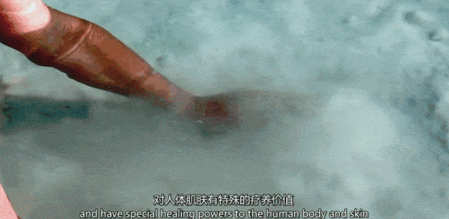 头发|头皮发痒，出油，还掉发？原来是你的洗发水没选好...