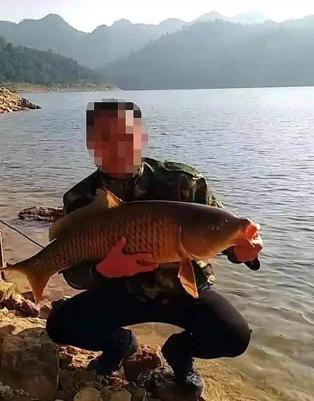 影响|共分为三个步骤钓大鱼的老玉米窝料制作方法