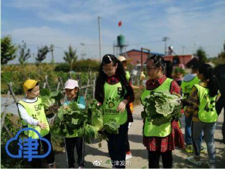 收货|钓螃蟹、挖红薯、掰玉米……收货的季节这么过！