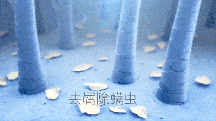 头发|头皮发痒，出油，还掉发？原来是你的洗发水没选好...