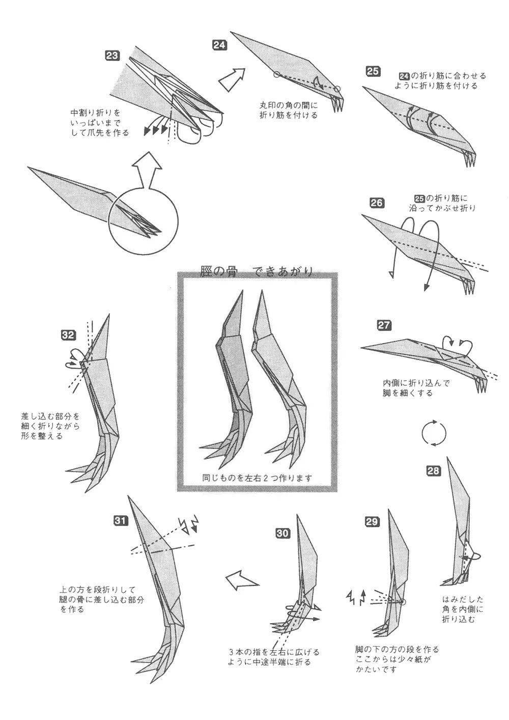 no.2225 折纸霸王龙骨架模型来了——小腿&组合