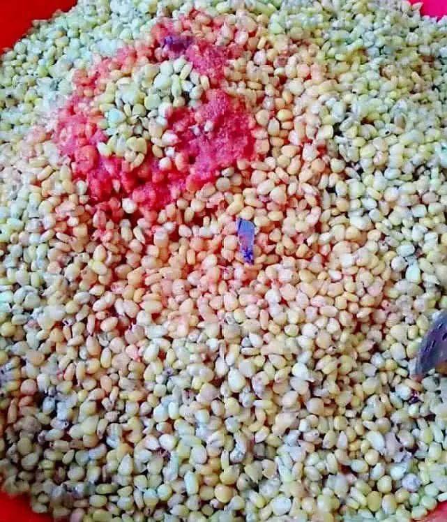 影响|共分为三个步骤钓大鱼的老玉米窝料制作方法