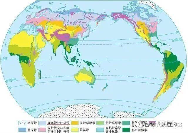 【地理探究】森林分布有什么样的规律?地理环境与植被