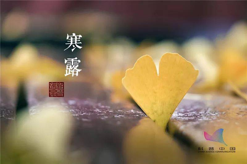 寒露|萧萧秋意,暖暖添衣