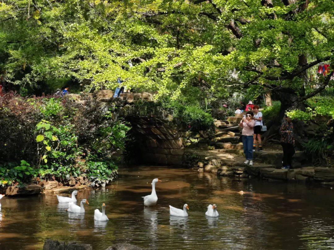 2020年国庆各景区客_2020国庆16个省市旅游数据一览